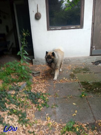 23.8.2025 - Dwix im Garten